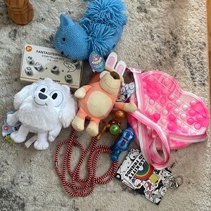 Assorted Lot Bluey, Pop It, Fidget Toys